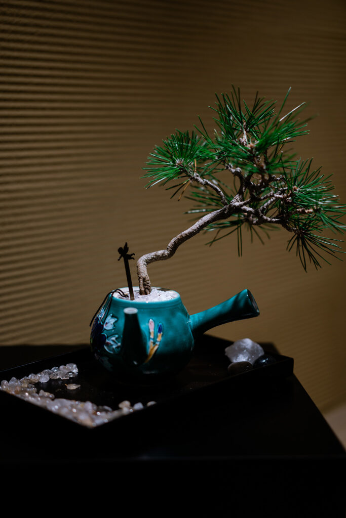 現代の空間に飾られたANGERO TREのNEO BONSAI